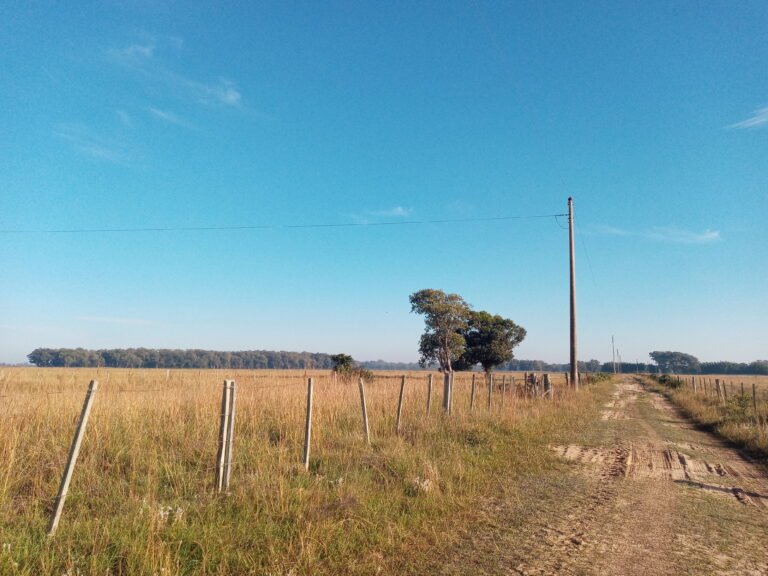 Vista da caminhada pela estrada