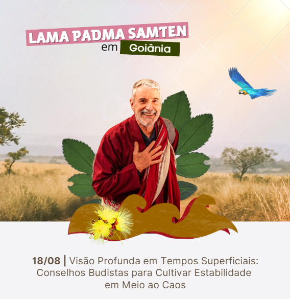 Captura de tela 2025-07-14 161028
