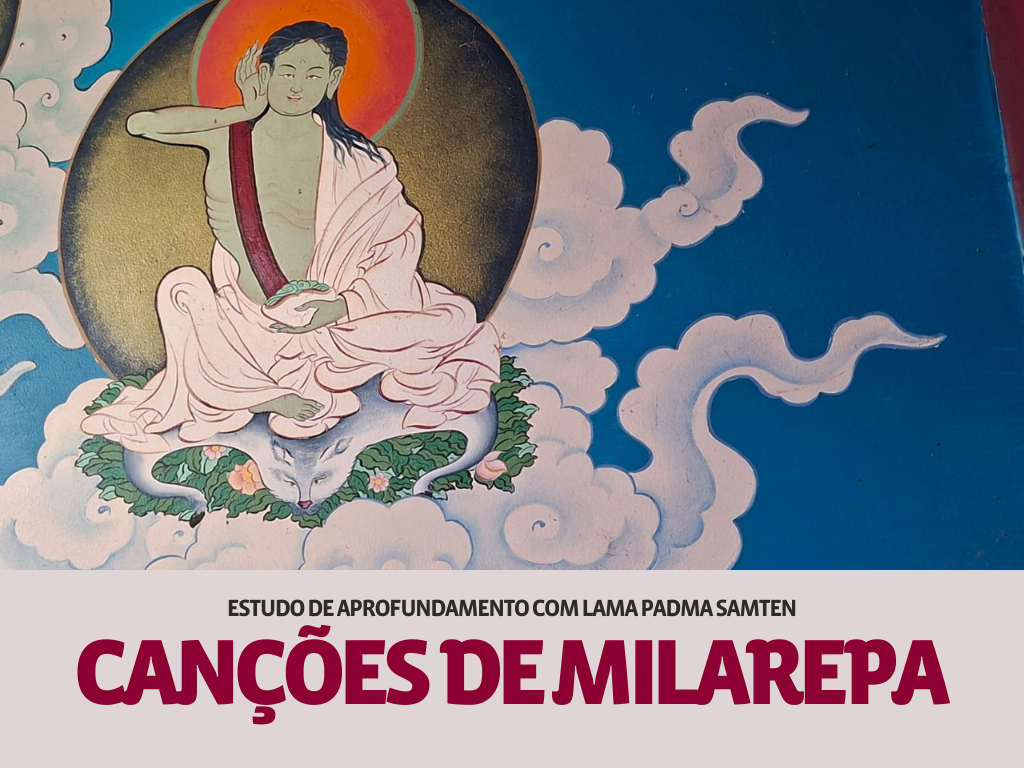 Atividades do Lama (Gráfico)