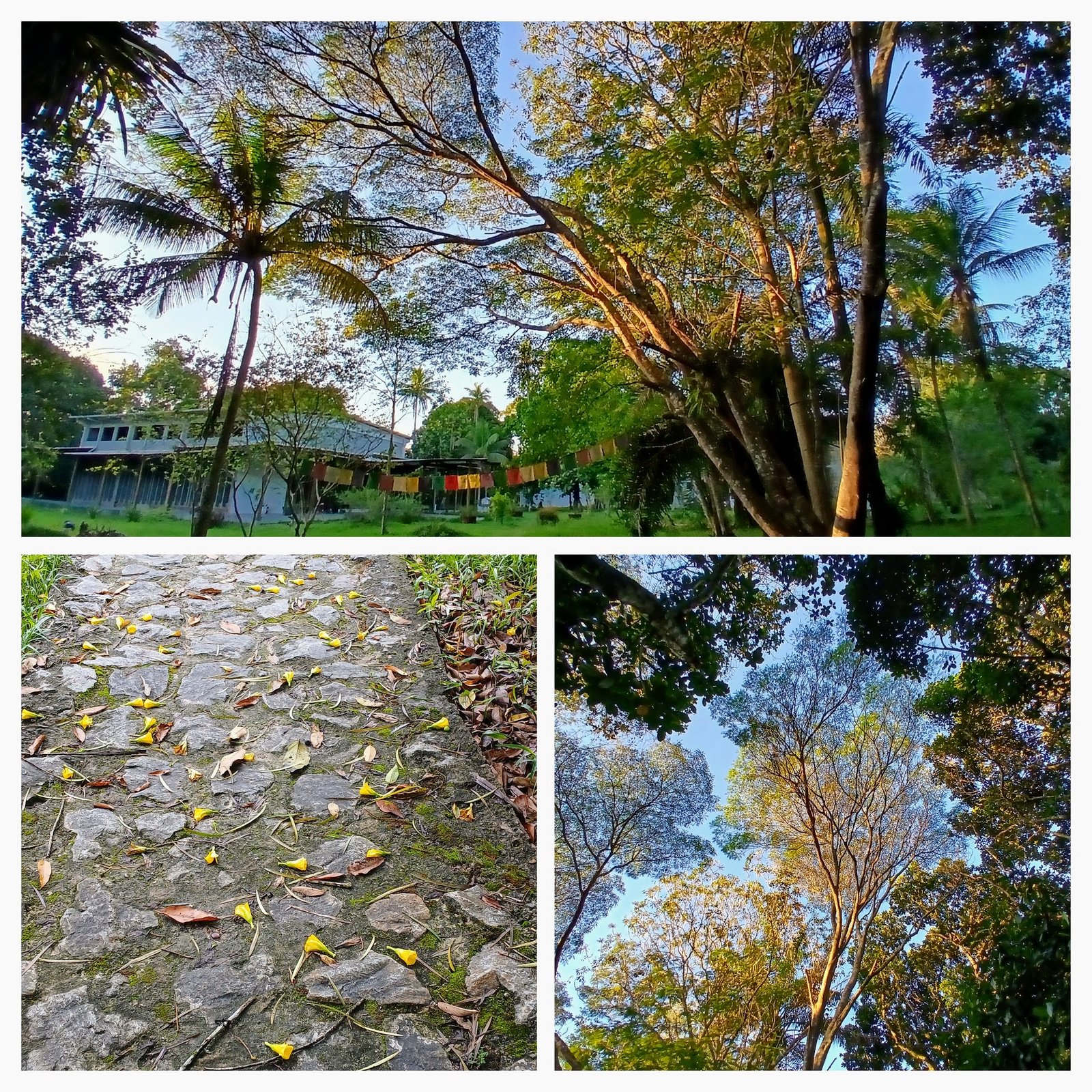 imagemDivulgacao Retiro Carnaval 26