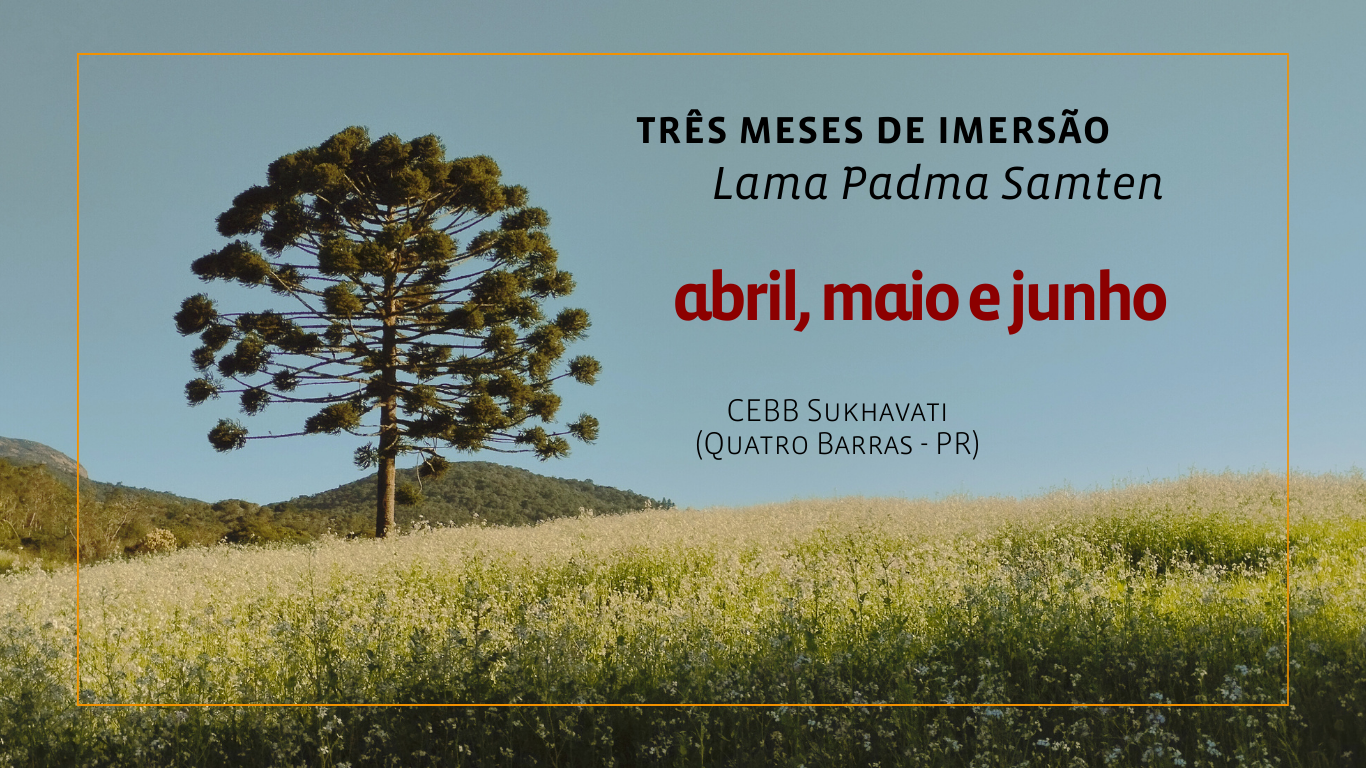 Atividades do Lama (Site)