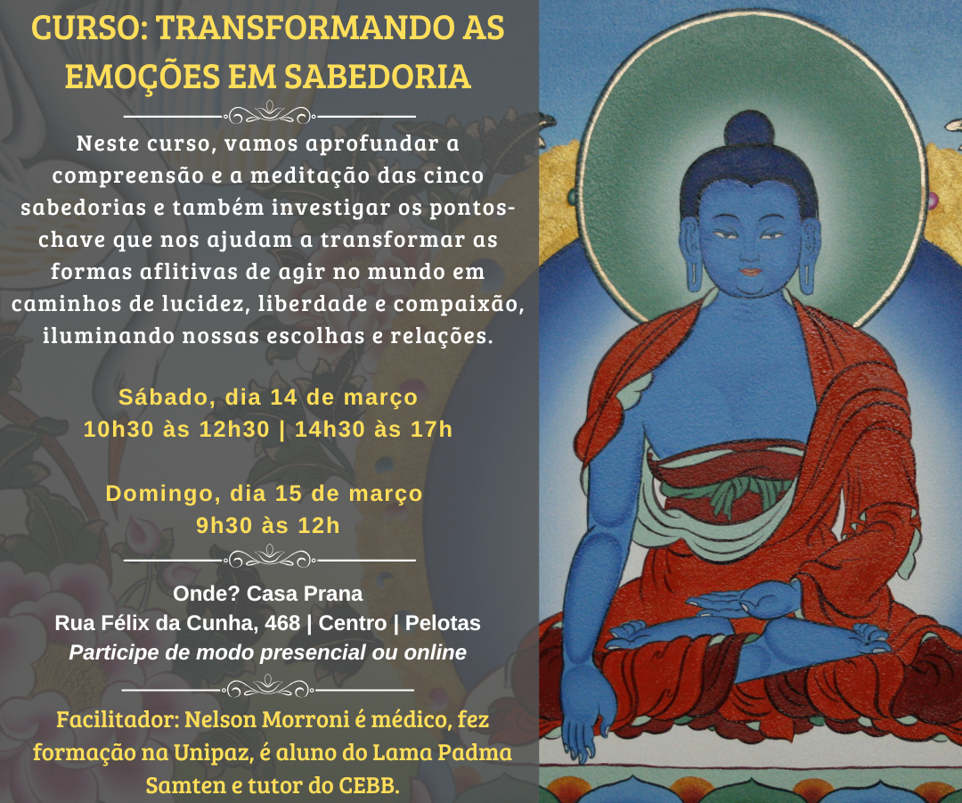 Curso com Nelson Morroni em Pelotas Março 2026 - Site