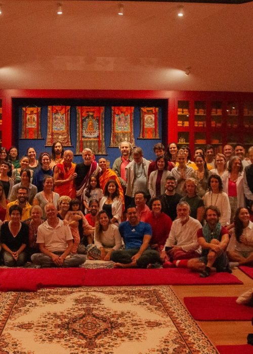 54297754039_3f86945804_k-min